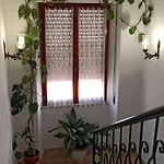 Holiday-house-saba-lupino 오로세