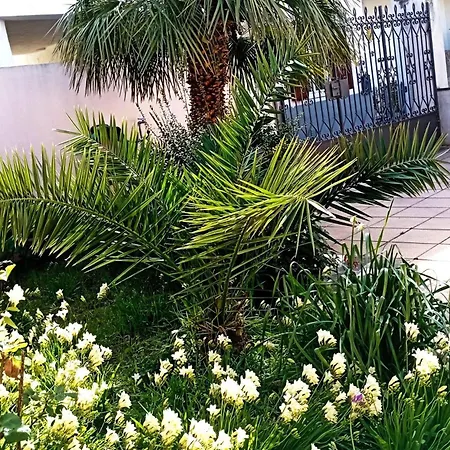 Apartman Holiday-house-saba-lupino