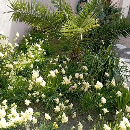 Apartman Holiday-house-saba-lupino *