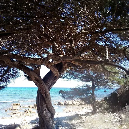 Holiday-house-saba-lupino *