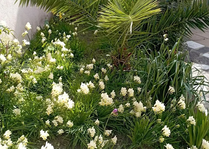 Apartman Holiday-house-saba-lupino *