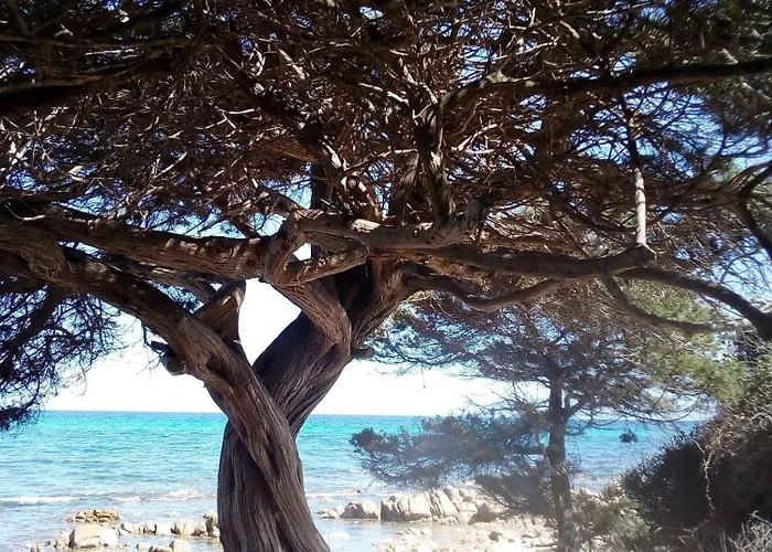 Holiday-house-saba-lupino *